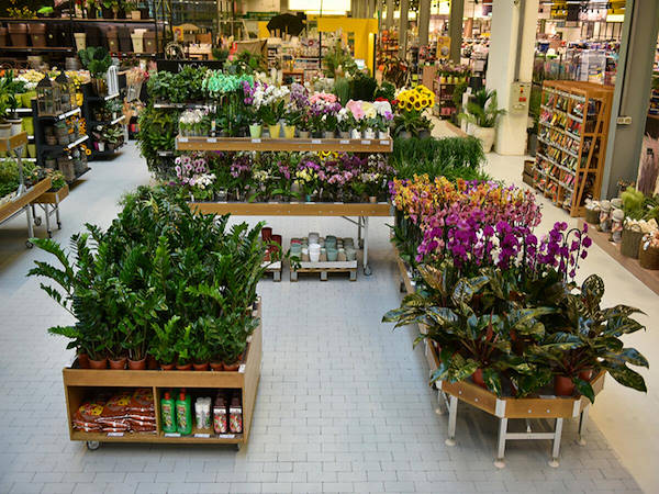 MERKUR дополняет и усовершенствует отдел растений и цветов концепциями Orlandell