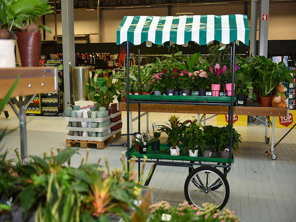 MERKUR дополняет и усовершенствует отдел растений и цветов концепциями Orlandell