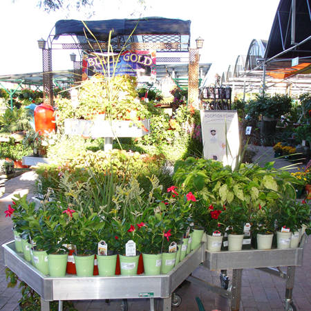 Mesquite Valley Growers Nursery - Self Watering Tables