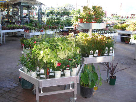 Mesquite Valley Growers Nursery - Self Watering Tables