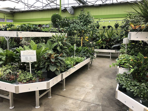 Minter Country Garden обновляет выставку растений и цветов вместе с Orlandelli