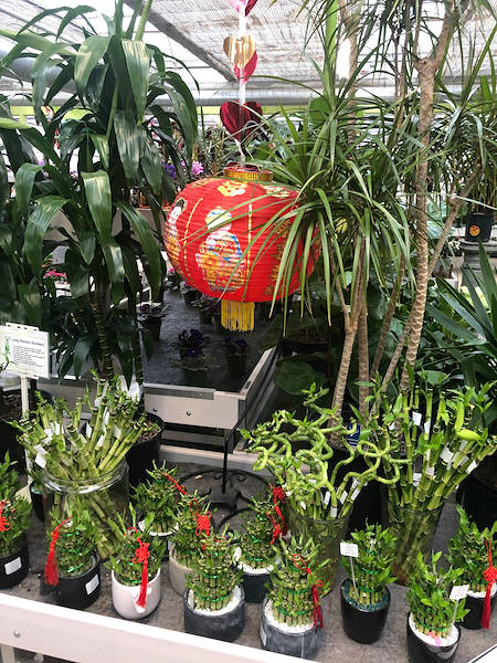 Minter Country Garden обновляет выставку растений и цветов вместе с Orlandelli