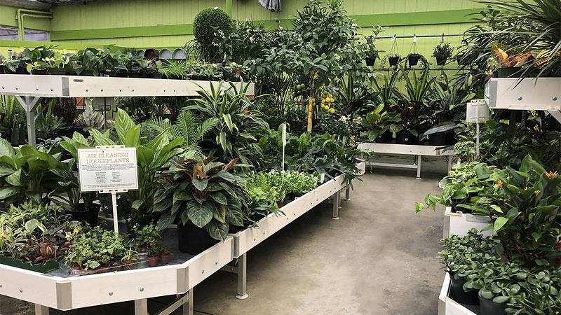 Las soluciones de exhibición de Orlandelli elegidas para refrescar el aspecto y la sensación de Minter Country Garden
