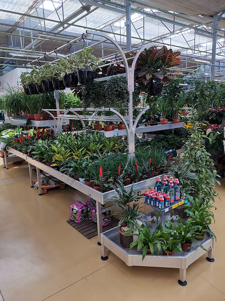 Mondo Verde Garden Center, indoor remodeling