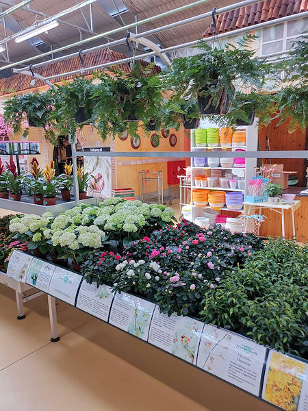 Mondo Verde Garden Center, indoor remodeling