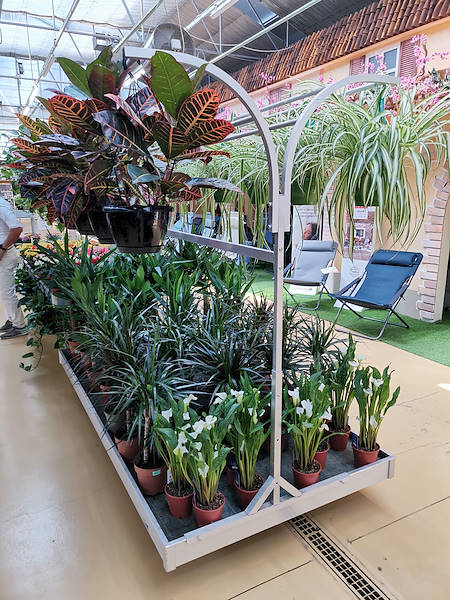 Mondo Verde Garden Center, indoor remodeling