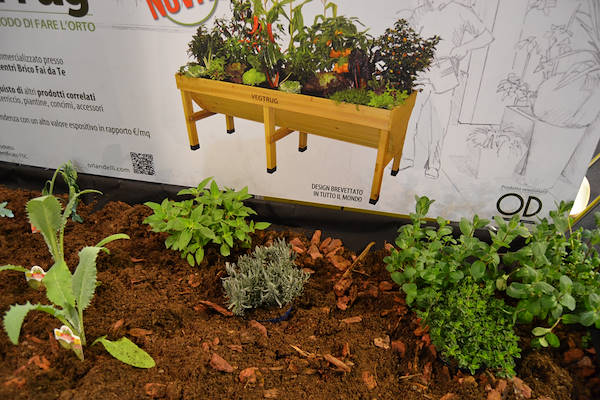 Gallery stand Orlandelli