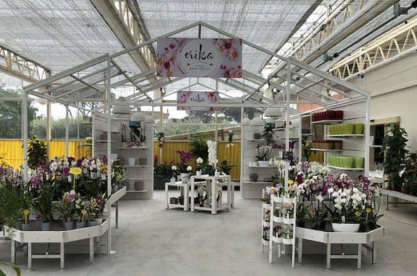 New Look for Erika Vivai