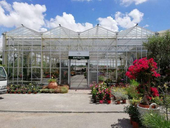 New Look for Erika Vivai