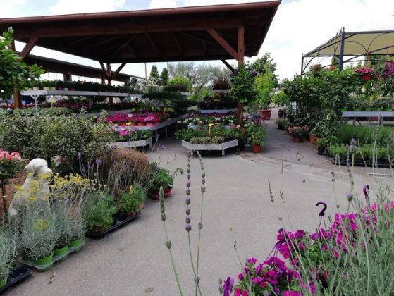 New Look for Erika Vivai