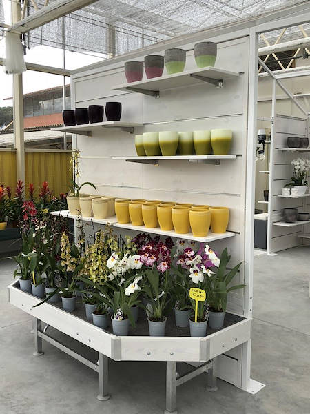 New Look for Erika Vivai