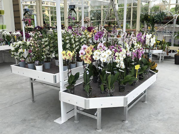 New Look for Erika Vivai