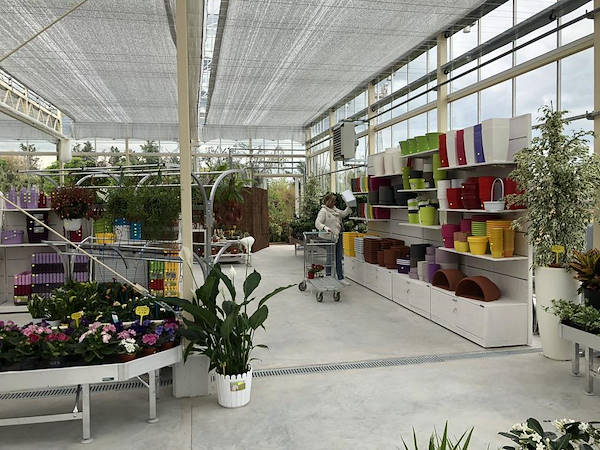 New Look for Erika Vivai