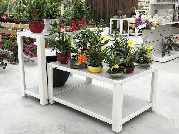 New Look for Erika Vivai