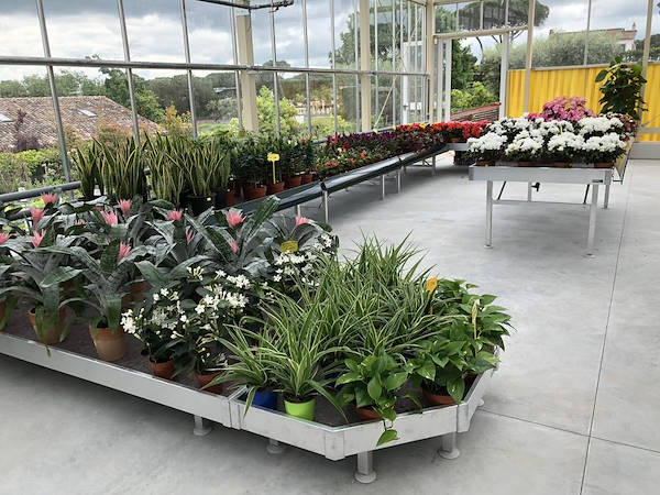 New Look for Erika Vivai