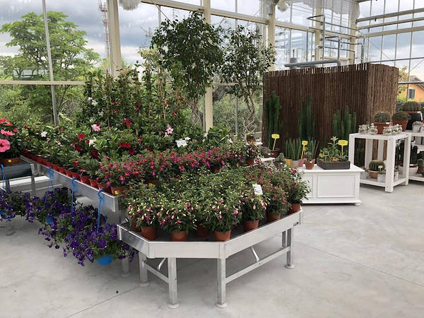 New Look for Erika Vivai