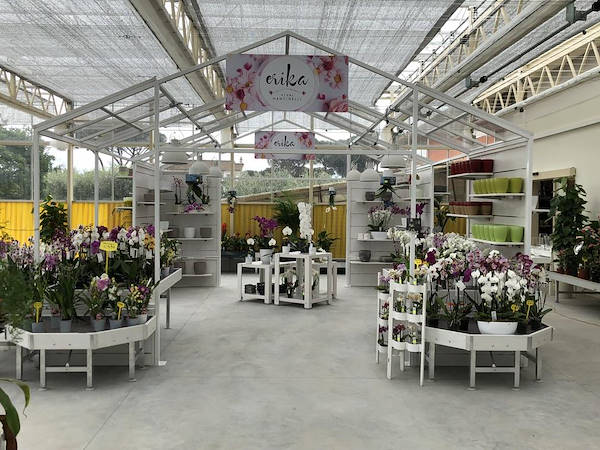 New Look for Erika Vivai