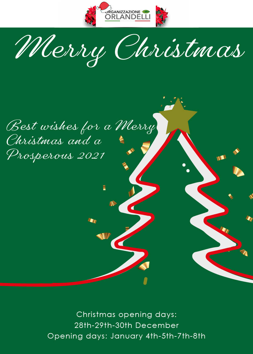 Orlandelli 2020 Christmas Greeting Card