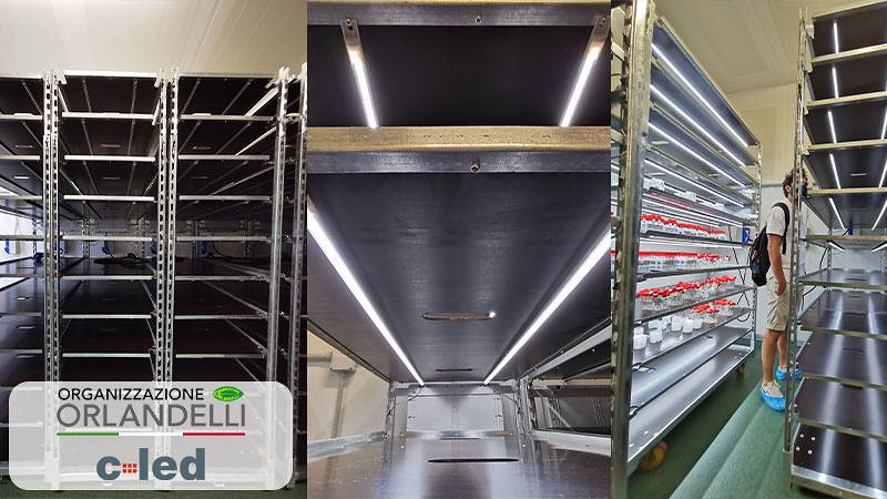 Новые телеги «Датский контейнер» с комплектом ламп C-LED