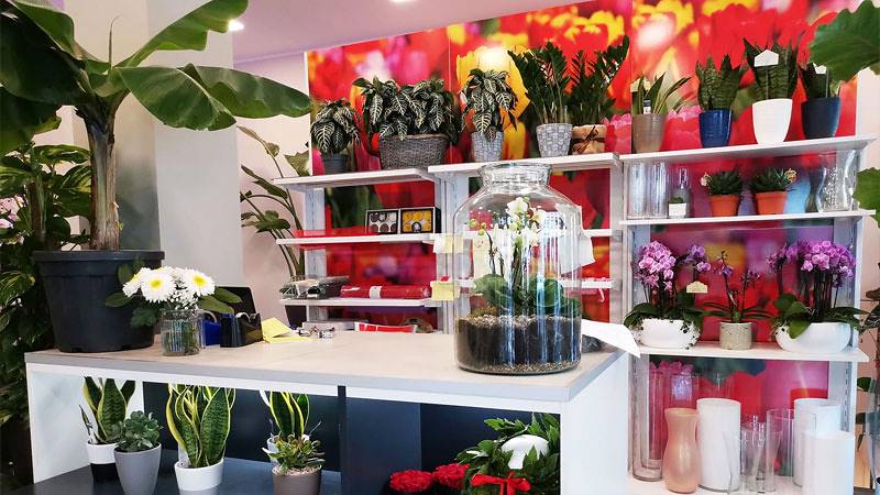 Die Oasi dei fiori in Mailand erhält ein neues, junges und elegantes Layout