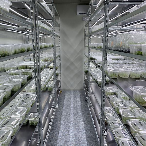 Тележка «Датский контейнер» с комплектом ламп Led для ПРОРОШЕНИЯ И ПРИВИВКИ растений