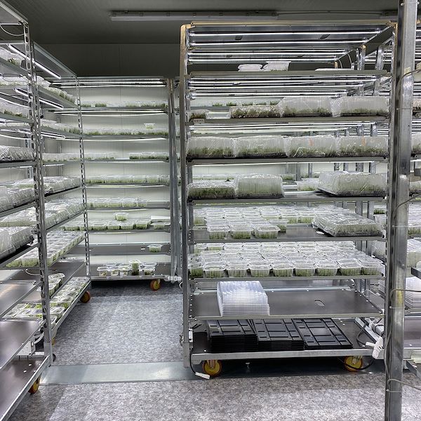 DC trolley with led lights kit for GERMINATION AND GRAFTING