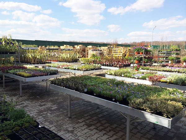 One of the secrets to make money in Floriculture