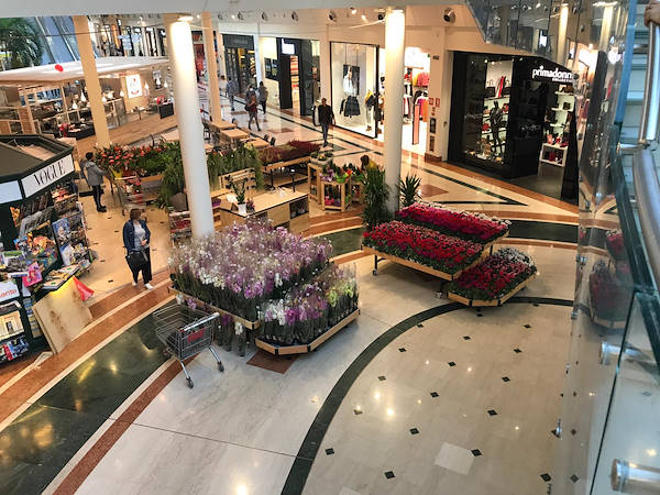 Exhibition island in the shopping center