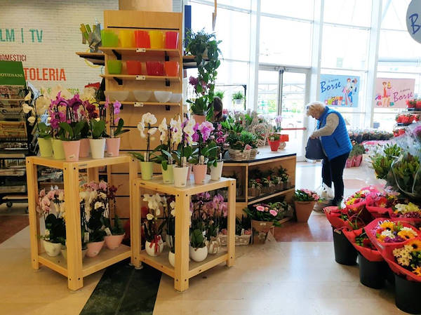 Wooden line AMOR for the newsstand