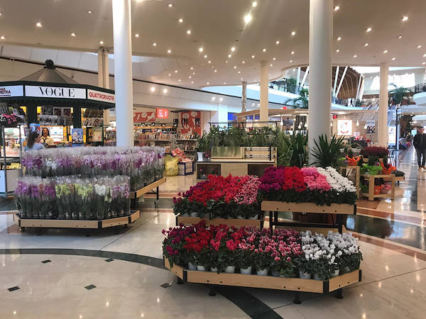 Выставочный остров в торговой галерее