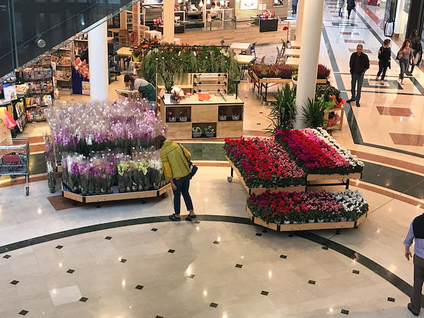 Выставочный остров в торговой галерее