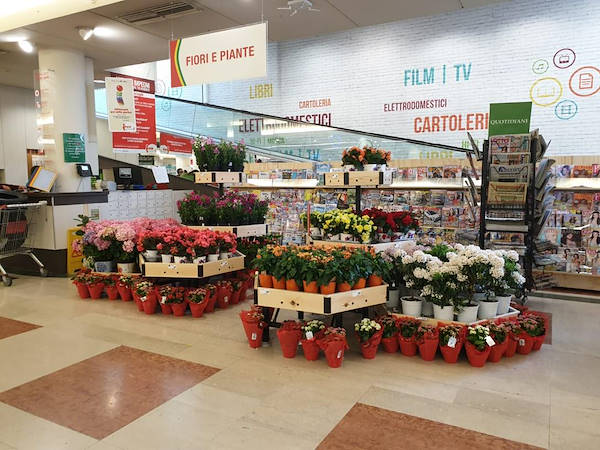 Линия AMOR для цветочного магазина-газетного киоска