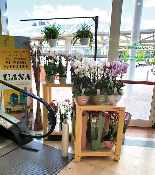 Линия AMOR для цветочного магазина-газетного киоска