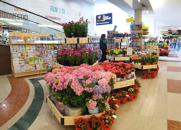 Линия AMOR для цветочного магазина-газетного киоска