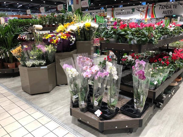 Персонализация цвета деревянной линии AMOR