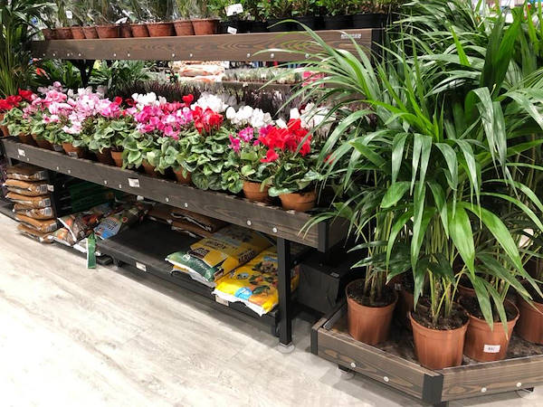 Персонализация цвета деревянной линии AMOR