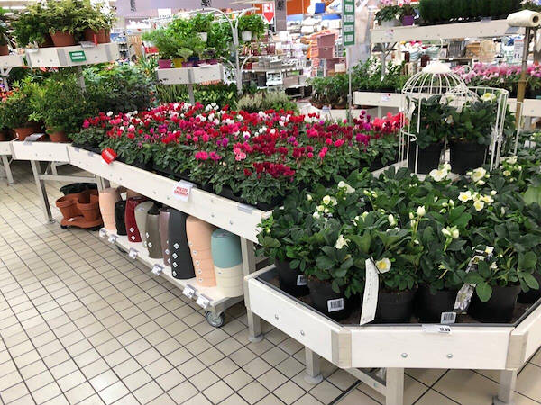 Линия мебели из беленой древесины