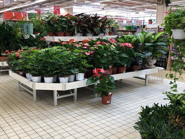 Линия мебели из беленой древесины