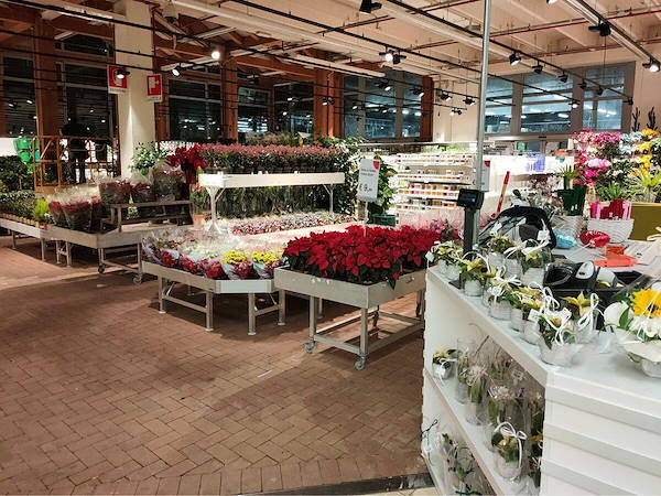Модернизация выставочной площади растений и цветов