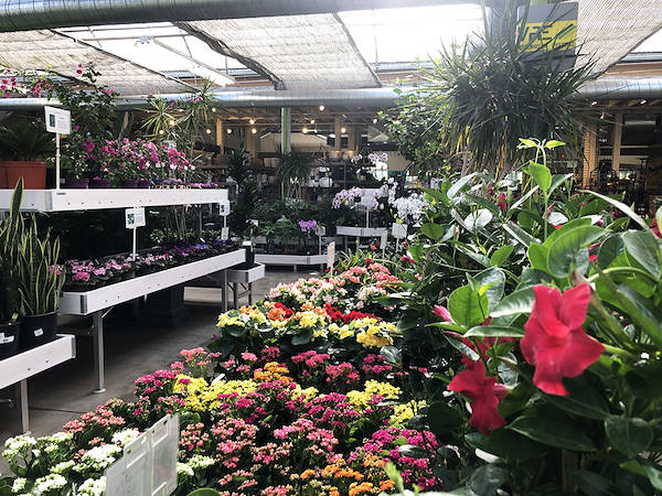 Orlandelli's exhibiting solutions chosen for freshening up Minter Country Garden's look & feel