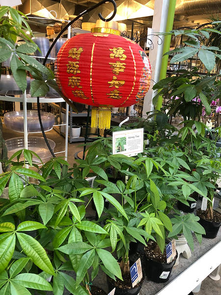 Orlandelli's exhibiting solutions chosen for freshening up Minter Country Garden's look & feel