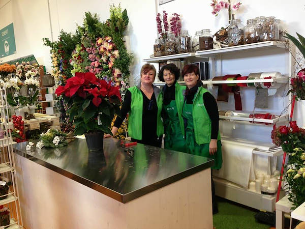 Новая концепция Paviotti от Орланделли