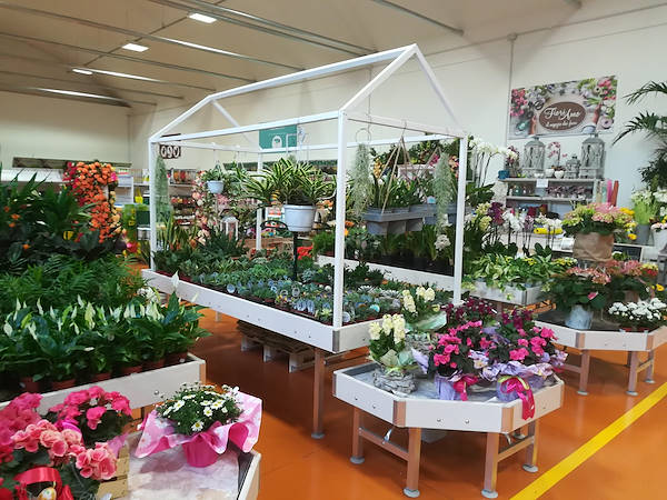 Новая концепция Paviotti от Орланделли