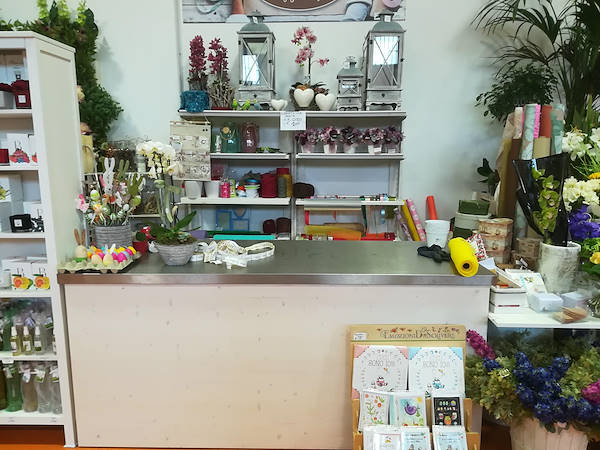 Новая концепция Paviotti от Орланделли