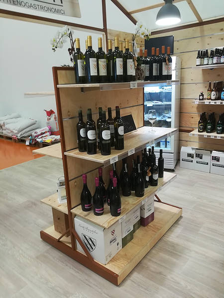 Новая концепция Paviotti от Орланделли