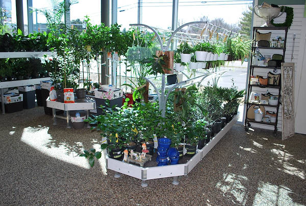 Открытие нового садового центра Petitti