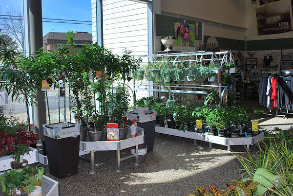 Открытие нового садового центра Petitti