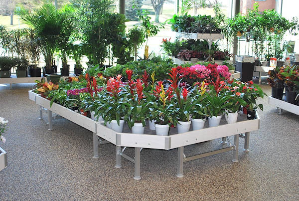 Открытие нового садового центра Petitti