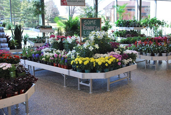 Открытие нового садового центра Petitti