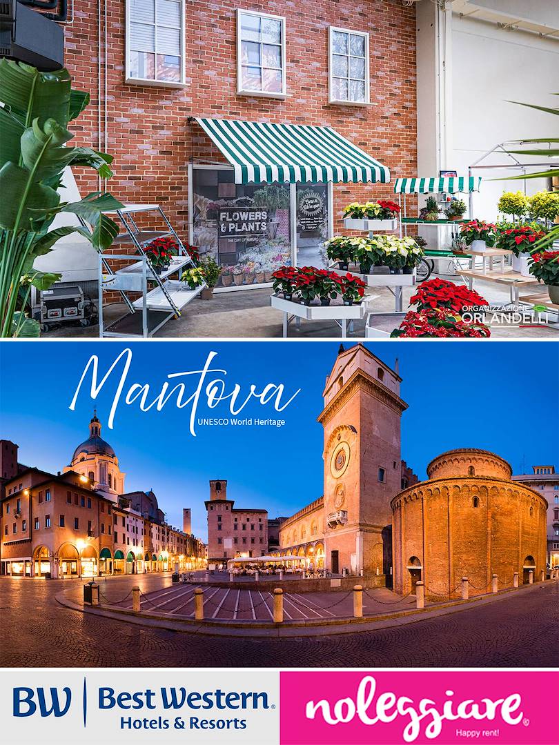 Plan the future of your shop with us: visit our showroom in Mantua